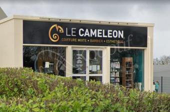 Photo du salon Le Caméléon